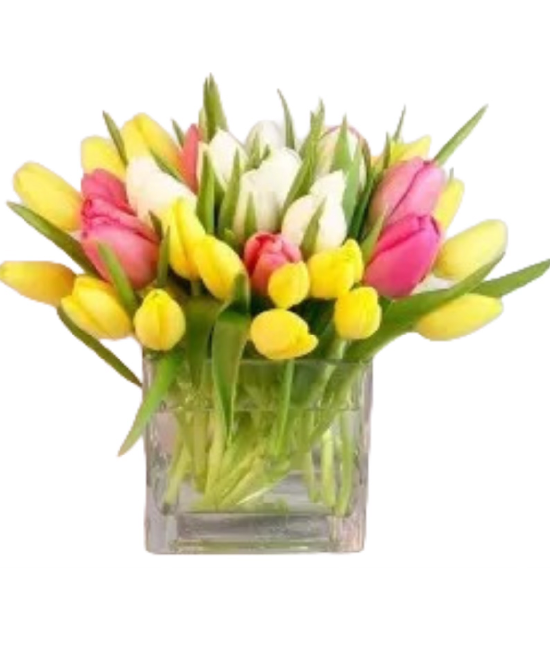 Tulip Sensation Bouquet | Northpark Florist Atlanta GA